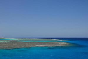 nice big coral reef in the blue sea photo