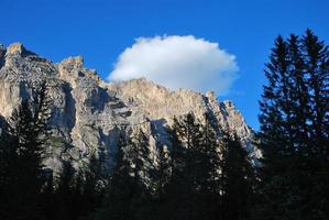 mountains with forest photo