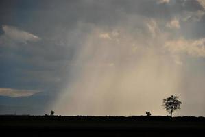 gewitter mit regen und hagel photo