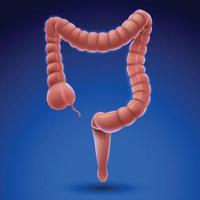 Three-dimensional illustration of a colon on a blue background. vector