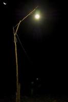 iluminación de bombilla y luz de luna creciente en la noche oscura