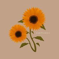 Vector illustration of sunflower. Bouquet of flowers. Sunflowers. Hand-painted. Isolated background.