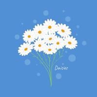 Vector illustration of flowers. Daisy. Bouquet. Daisy. Hand drawn. Isolated background.