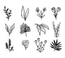 Vector collection Line art of flowers and plants. Decorative beauty elegant illustration for design. Hand drawn flowers set.