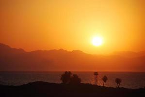 hermoso amanecer cálido en Egipto con palmeras foto