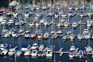 many boats in harbor photo