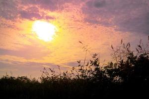 Sunset sky and grass silhouette nature background photo