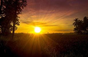 Golden sunset sky with sunrays photo