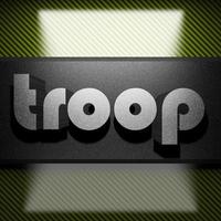 troop word of iron on carbon photo