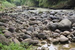 Stones and river in the forest photo