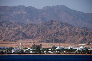 city with palm trees and mountains in the background photo