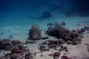 amphoras on the sea photo