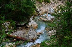 agua salvaje con rocas y tronco foto