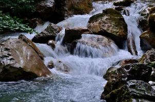 mountain river in the nature photo