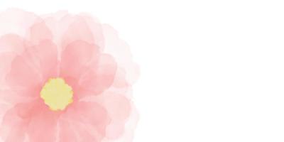 flor de fondo rosa, rosa floral foto