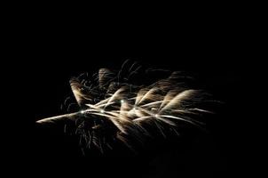 palma de fuegos artificiales en la noche foto