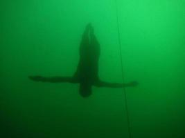 el buceo libre o el buceo en apnea se deja caer en las profundidades foto