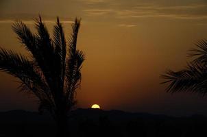 sun on mountain and palm tree photo