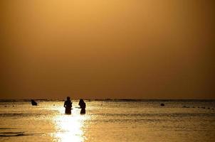 snorkel at sunrise photo