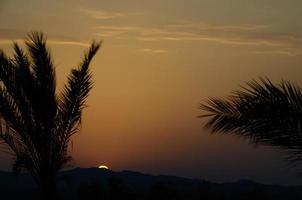 sunset at mountains with palm trees photo