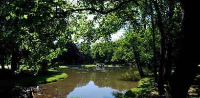 pond in a castle with many old trees in summer photo