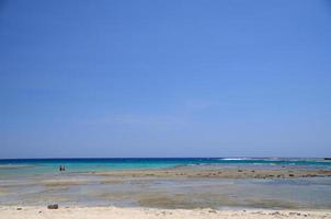 sand beach with reef on sea photo