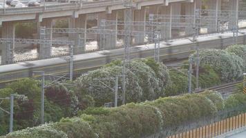 The railway view with the passing train and blooming plants wall in summer photo