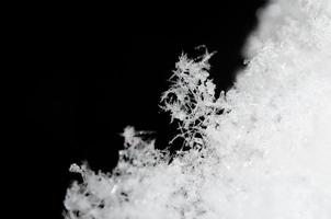 sticky snow crystals photo