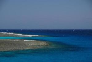 beautiful reef with corals in summer photo