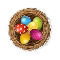 Easter eggs on wild bird nest from straw and twigs vector