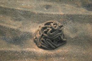 sand structure of a worm in sea photo