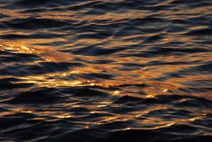 Sun reflects in the waves on the sea photo