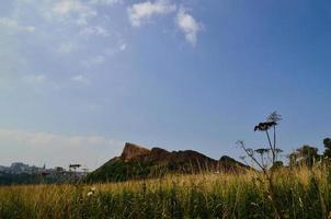 arthur seat mountain and meadow photo