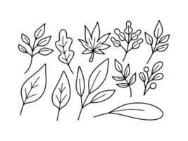 colección de ilustración de doodle de hoja de otoño vector