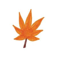 Autumn Maple Leaf Watercolor Illustration vector