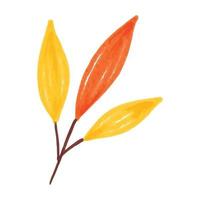 Fall Season Leaves Watercolor Illustration vector