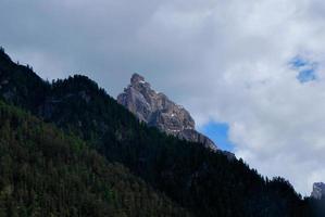 alta montaña y bosque foto