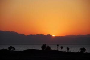 sunrise with palm trees and mountains in egypt photo