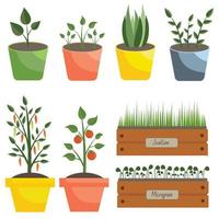 Collection of different plants, flowerpots, greenery. A set of plants in pots for gardening, balcony, growing on the windowsill. vector