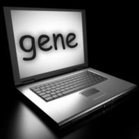 gene word on laptop photo