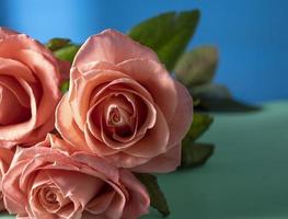 Pink Roses, Romantic Background. Floral, Natural, Delicate background. photo