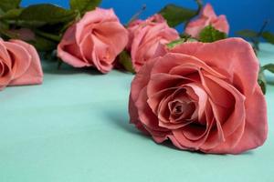 Valentine's Day Background with Pink Roses. photo
