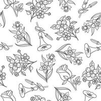 Various hand-drawn vector flowers set seamless patterns on white background
