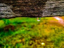 gota de lluvia sobre una madera foto
