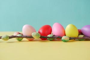 easter concept with multi color egg on color background. photo