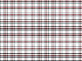 Tartan Plaid Pattern Buffalo Vector