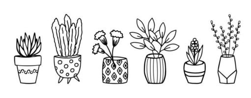 Flowers in pots and vases doodle hand drawn outline sketch. Decorative potted house plant sketch. Isolated vector illustration