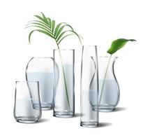 3d realistic icon. Isolated. Collection of flower glass transparent vases with plants inside. On white background. vector