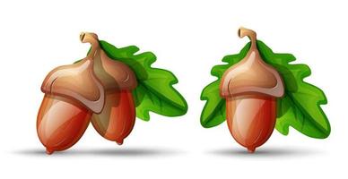 Vector cartoon style flat acorn with leaves. Isolated on white background. Symbol of good luck and fortune.