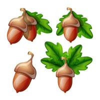 Collection of vector cartoon style flat acorn with leaves. Isolated on white background. Symbol of good luck and fortune.